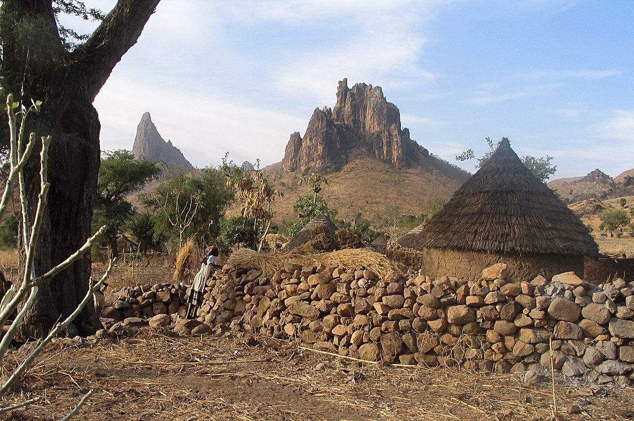 Kapsiki terraced plantations
