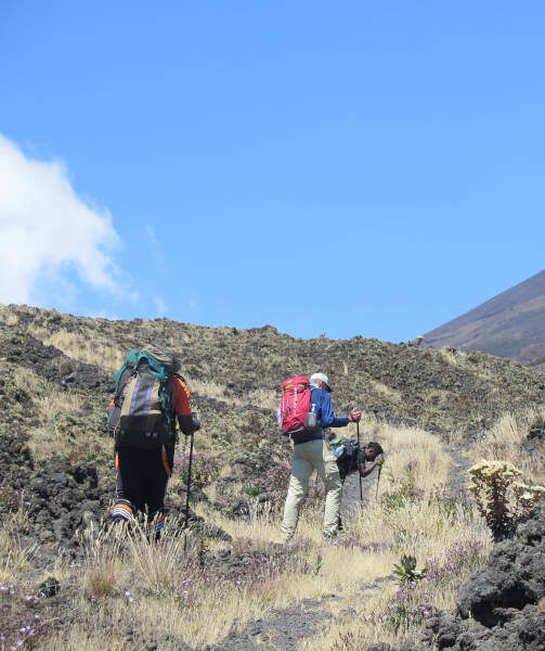 Hiking