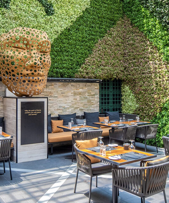 Kotcha Restaurant