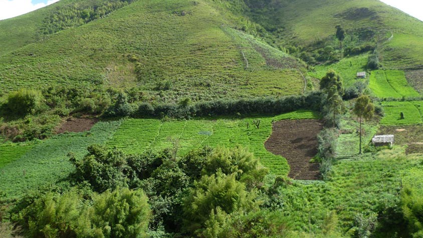 Mount Bambouto