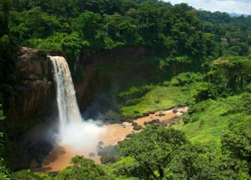 THE EKOM – NKAM WATERFALLS