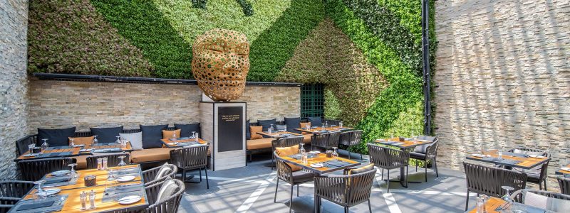 Kotcha Restaurant